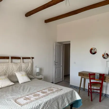 Apartamento Panoramic Loft Con Uso Cucina,casa Placida - Ammentos *